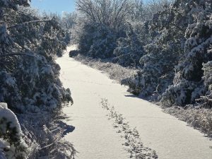 The Path to Home