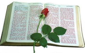 Bible Based